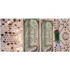 Image 1 : 2 1967 $1.00 NOTES 1 WITH SERIAL # 1 WITHOUT