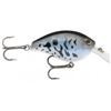 Image 1 : Arashi: Silent Square 5 ( Crappie )