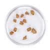 Image 2 : Lot of Gold Nuggets 2.37 Grams Total Weight