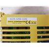 Image 5 : (2) FANUC A02B-0259-C220 (I/O LINK INTERFACE) MODULE