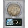 Image 2 : 1921 S$1 MS64 PCGS. Rich chestnut-gold toning graces t
