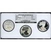 Image 1 : 20th Anniversary Silver Eagle Set PR/MS70 NGC. A three-