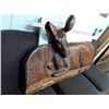 Image 2 : 0Z --Large Wood Deer Carving