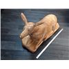 Image 2 : 0ZN --  Large Maple Carving of a Deer