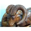 Image 2 : 0ZO --  Very Large Carving of  Male Bighorn Sheep