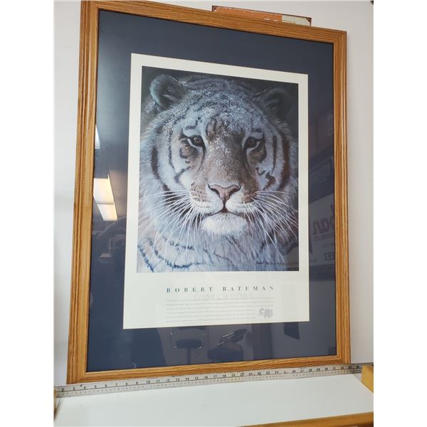 Tiger Portrait by  Robert Bateman