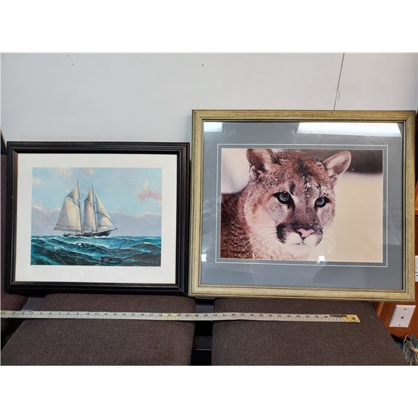 Print of Sail boat & Cougar