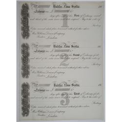 Halifax, Nova Scotia, 1860's Uncut Remainder Sheet of First, Second, and Third Exchanges.