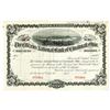 Image 1 : Citizens National Bank of Cincinnati, Ohio, 1900-20 Specimen Stock Certificate