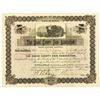 Image 1 : Osage County Fair Association 1897 I/U Stock Certificate