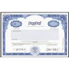 Image 1 : PayPal, Inc., 1999 (2001) IPO Specimen Stock Certificate - Pre-eBay.
