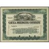 Image 1 : Cauca Dredging Co., 1900-1910 Specimen Stock Certificate