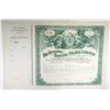 Image 1 : England. France. National Skating Palace Ltd. 1895 Share Certificate.