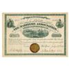 Image 1 : Maritime Association of The Port of New York Issued Membership Certificate.