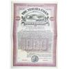 Image 1 : Niagara Falls Power Co. 1906 Specimen Bond