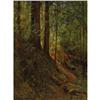 Image 1 : D. HOWARD HITCHCOCK (American), Forest Scene