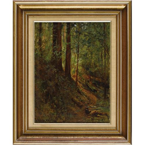 D Howard Hitchcock American Forest Scene