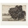 Image 4 : LUIGI LUCIONI, Group of 12 Etchings