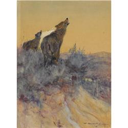 W. HERBERT (BUCK) DUNTON, Coyotes, Watercolor