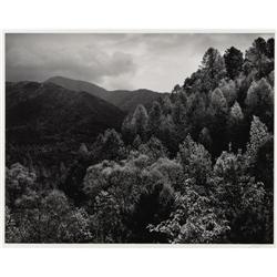 ANSEL ADAMS - MT. Le Conte, Autumn