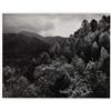 Image 1 : ANSEL ADAMS - MT. Le Conte, Autumn