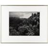 Image 4 : ANSEL ADAMS - MT. Le Conte, Autumn