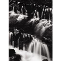 ANSEL ADAMS-Fern Spring, Dusk, Yosemite Valley
