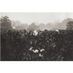 LEE FRIEDLANDER-Kyoto,1977-Photo grauvre