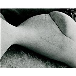 MINOR WHITE (American 1908-1976) Untitled (Rock