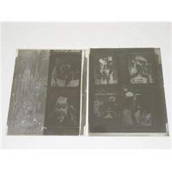 (2) 19TH CENT. GLASS PLATE PHOTOGRAPH NEGATIVES OF SEXUALLY 