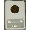 Image 2 : 1854 1/2 C MS62 Brown NGC. C-1. NGC Census: (132/4