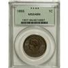 Image 3 : 1855 1C Upright 5s MS64 Brown PCGS. PCGS Population (8
