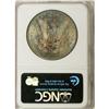 Image 2 : 1880-S $1 MS66 NGC. NGC Census: (8759/2671). PCGS