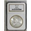 Image 1 : 1899 $1 MS64 NGC. NGC Census: (2189/561). PCGS Pop