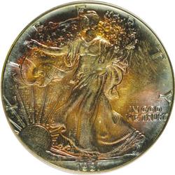 1987 $1 Silver Eagle MS67 PCGS. PCGS Population (1