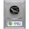 Image 2 : 1997-W P$50 Half-Ounce Platinum Eagle PR69 Deep Came