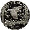 Image 2 : 1999-W P$100 One-Ounce Platinum Eagle PR69 Deep Cameo