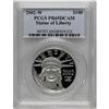 Image 1 : 2002-W P$100 One-Ounce Platinum Eagle PR69 Deep Came