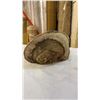 Image 4 : 2 HAND PAINTED SIGNED FUNGUS