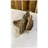 Image 9 : 2 HAND PAINTED SIGNED FUNGUS