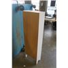 Image 5 : SMALL WHITE SHELF - APPX 50 INCHES TALL