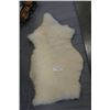 Image 1 : SHEEP SKIN RUG