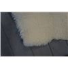 Image 2 : SHEEP SKIN RUG