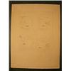 Image 2 : VICTOR BRAUNER Signed Etching Surrealism
