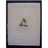 Image 2 : DALI Hand Signed Color Etching Surrealism