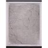 Image 5 : MAX PAPART Sig Etching French