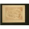 Image 2 : JEAN SIGNOVERT Signed Etching Abstract