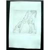 Image 2 : L.SURVAGE Hand Signed Etching Cubism