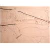 Image 3 : AVIGDOR ARIKHA Drawing Israeli Violin