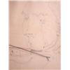 Image 4 : AVIGDOR ARIKHA Drawing Israeli Violin
